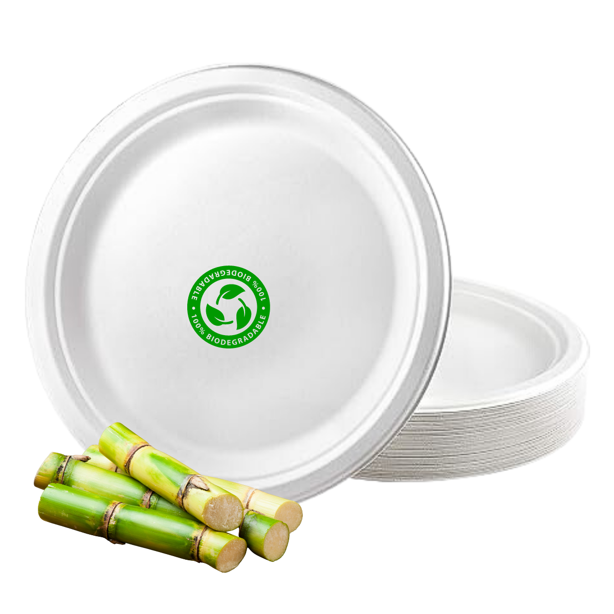 Platos blancos desechables biodegradable