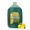 Lavalozas Concentrado 5L Alba Hogar